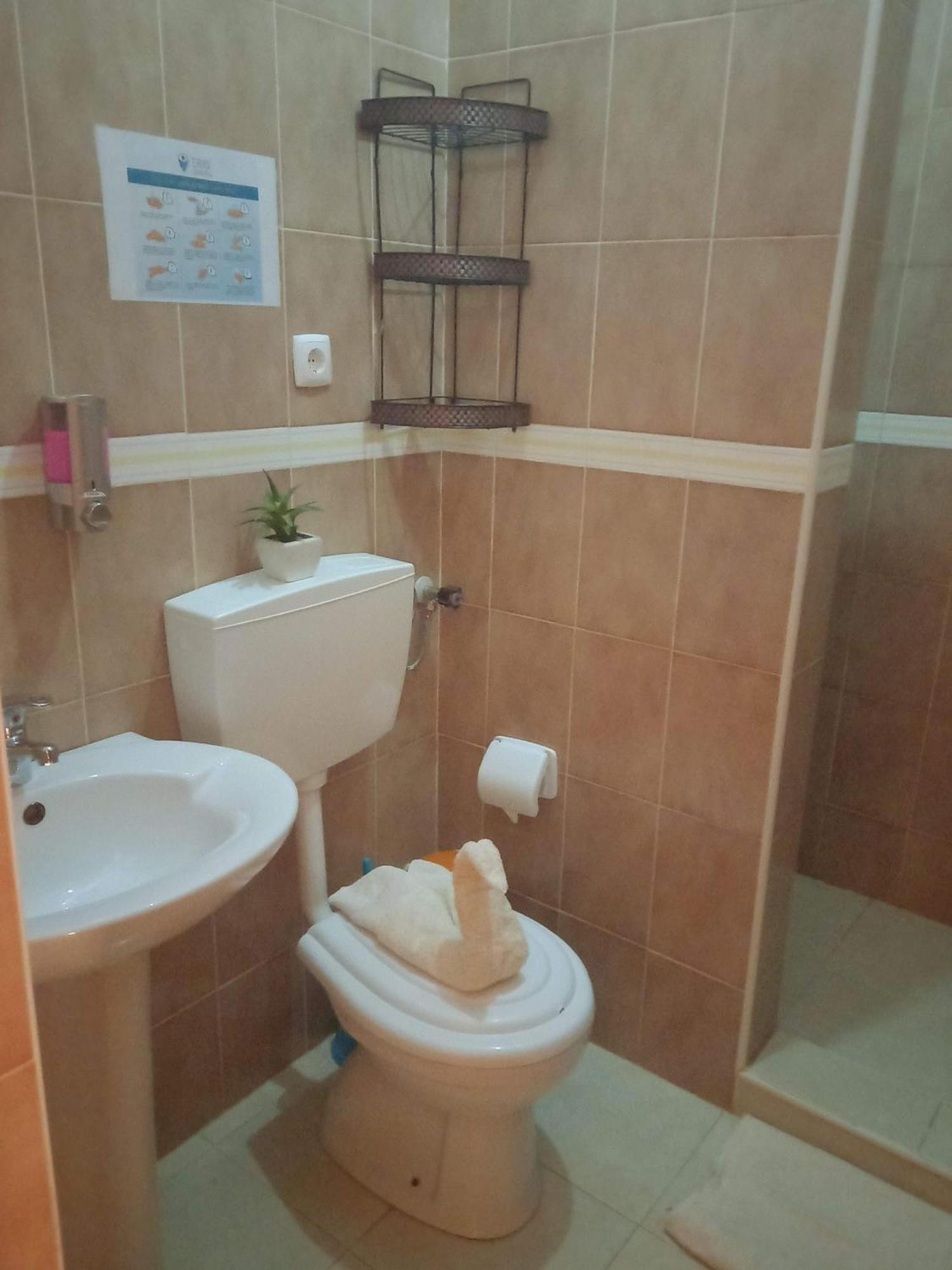 Residencial Rosa Criola Bed & Breakfast Sal Rei Dış mekan fotoğraf