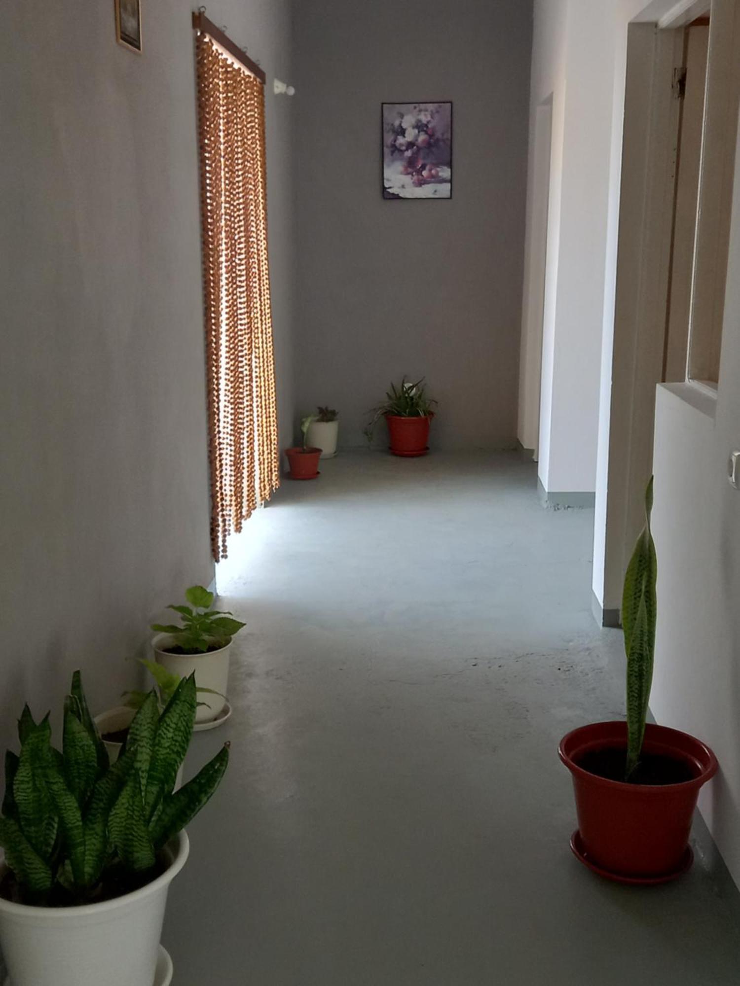 Residencial Rosa Criola Bed & Breakfast Sal Rei Dış mekan fotoğraf